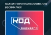 Навыки программирования бесплатно!